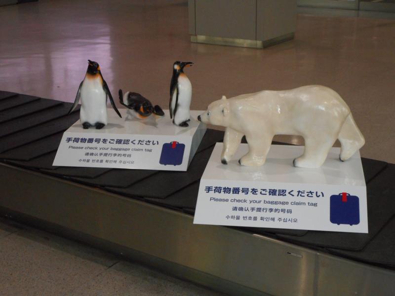 手荷物受取所にペンギンと白くまが登場 旭川空港ターミナル